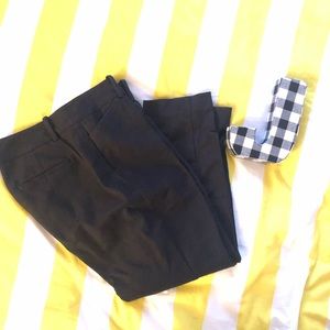Ann Taylor Curvy Dress Pants